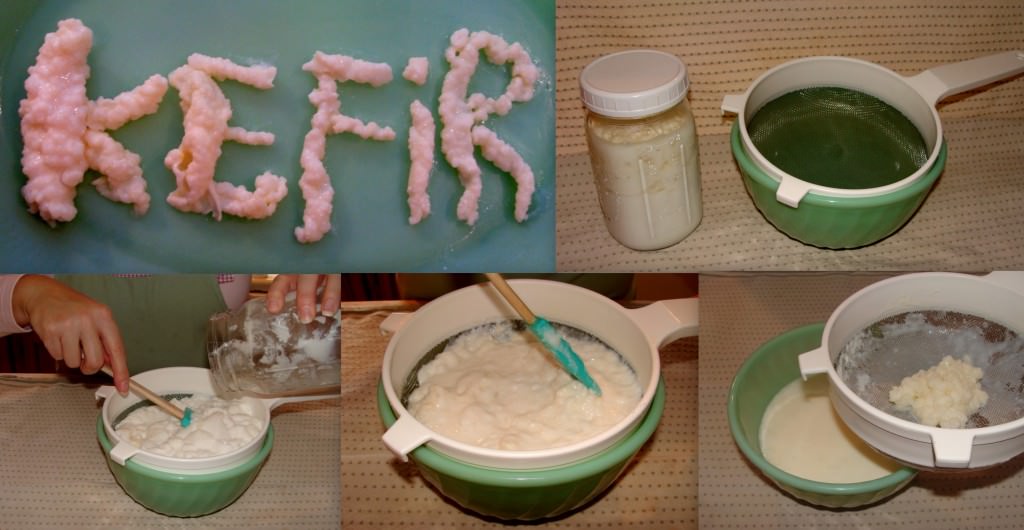 3.How To Make Kefir
