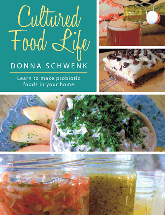 Learn to make probiotic foods in your home
