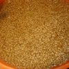 grains