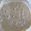 soughdough starter
