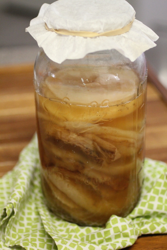 Kombucha SCOBY Candy (For Using Extra Mothers)