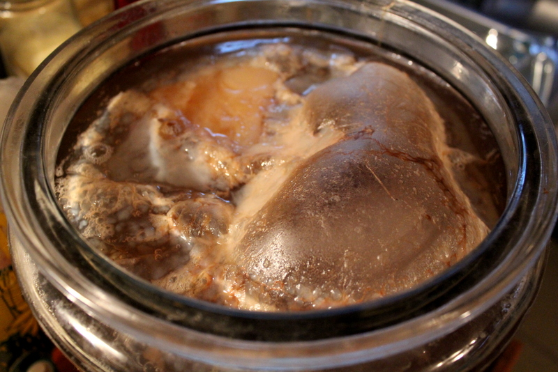 Is my SCOBY suppose to do that? – YEABUCHA