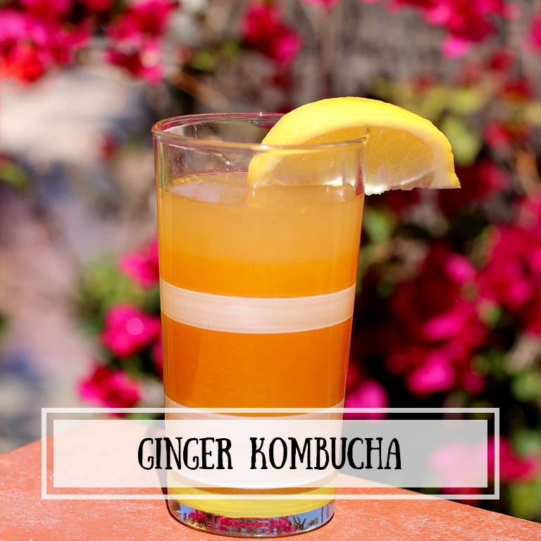 Ginger Kombucha