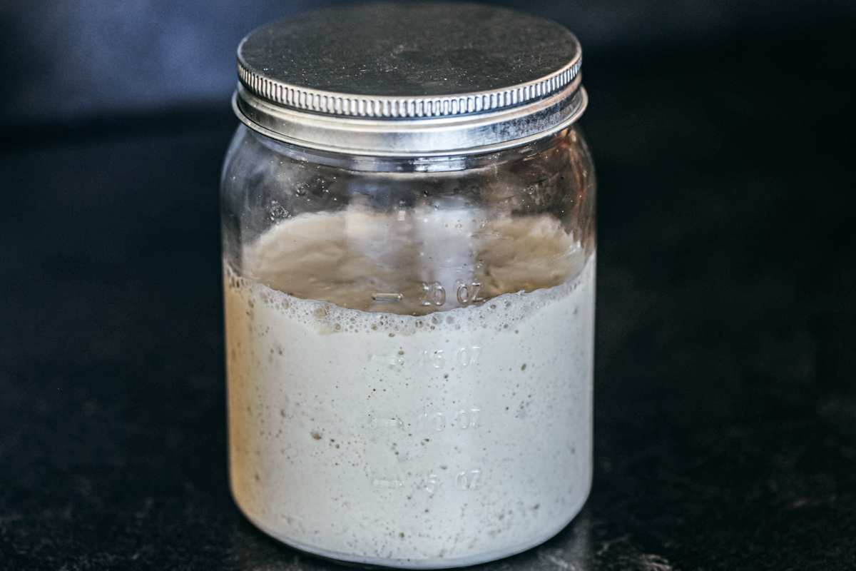 Dehydrating and Activating Your Sourdough Starter - Cultured Food Life