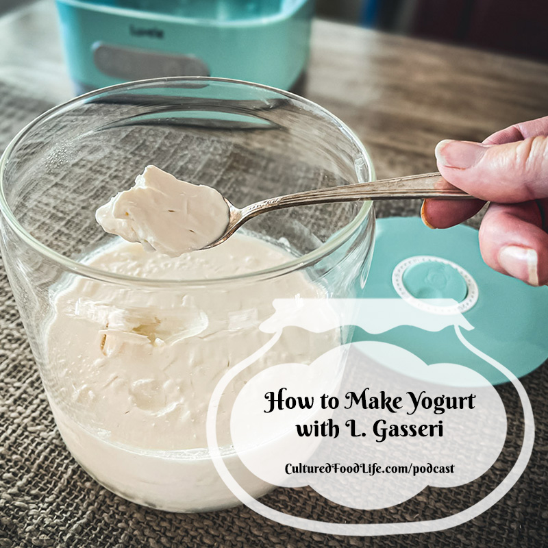 https://www.culturedfoodlife.com/wp-content/uploads/2022/11/How-to-Make-Yogurt-with-L.-Gasseri-Square.jpg