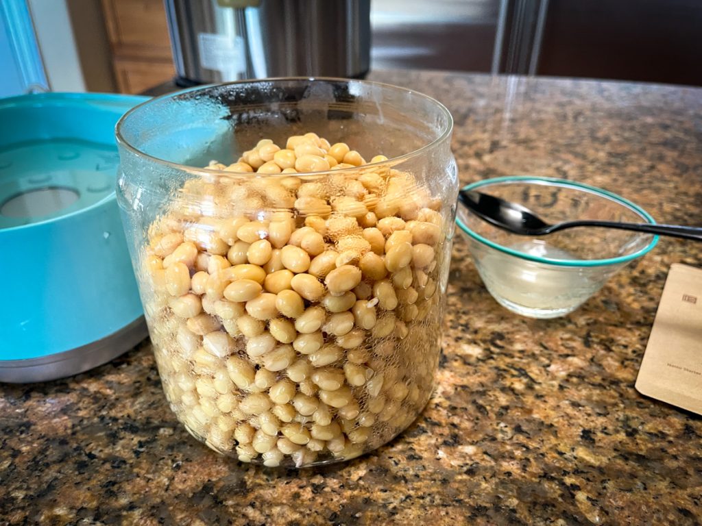 Fermented Natto Cultured Food Life