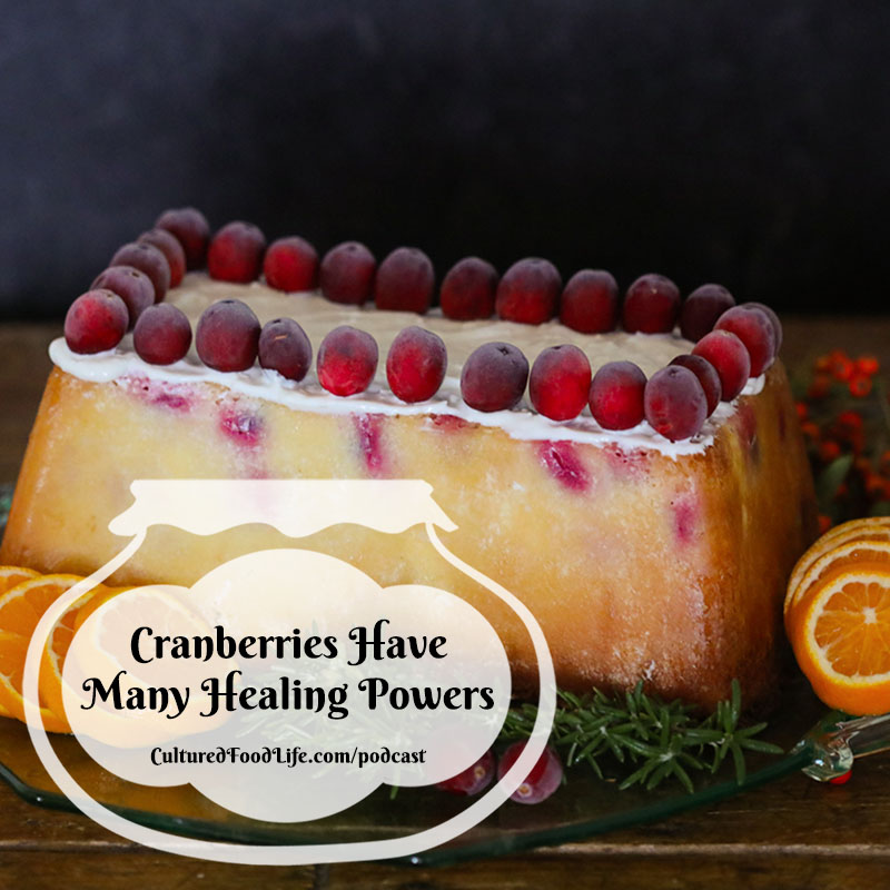 https://www.culturedfoodlife.com/wp-content/uploads/2023/11/Cranberries-Have-Many-Healing-Powers-Square.jpg