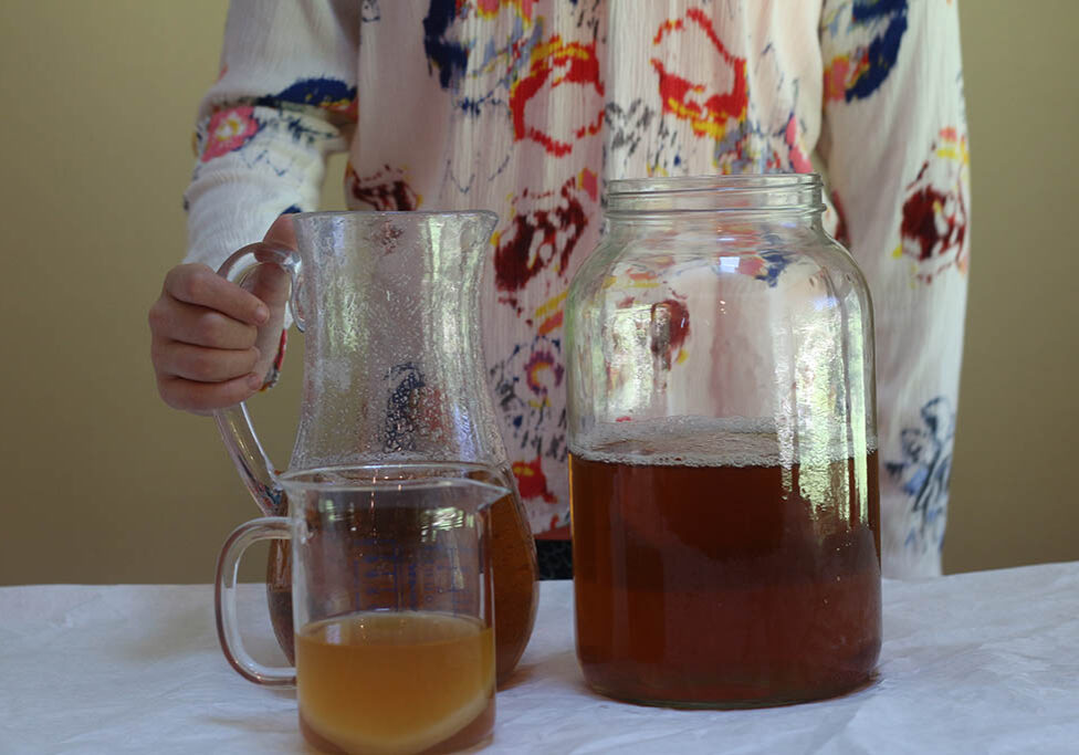 Making Kombucha